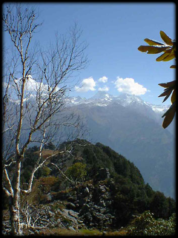 Lamadug