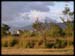 Moutain-view-from-Landing