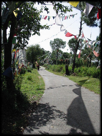 Flag-&-prayer-wheels