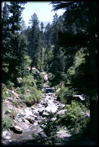 Moutain Stream