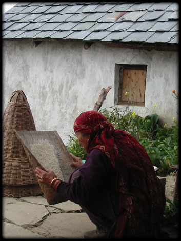 Rice Preparation